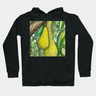 Jackfruit drawing Hoodie